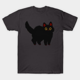 fluffy black cat T-Shirt